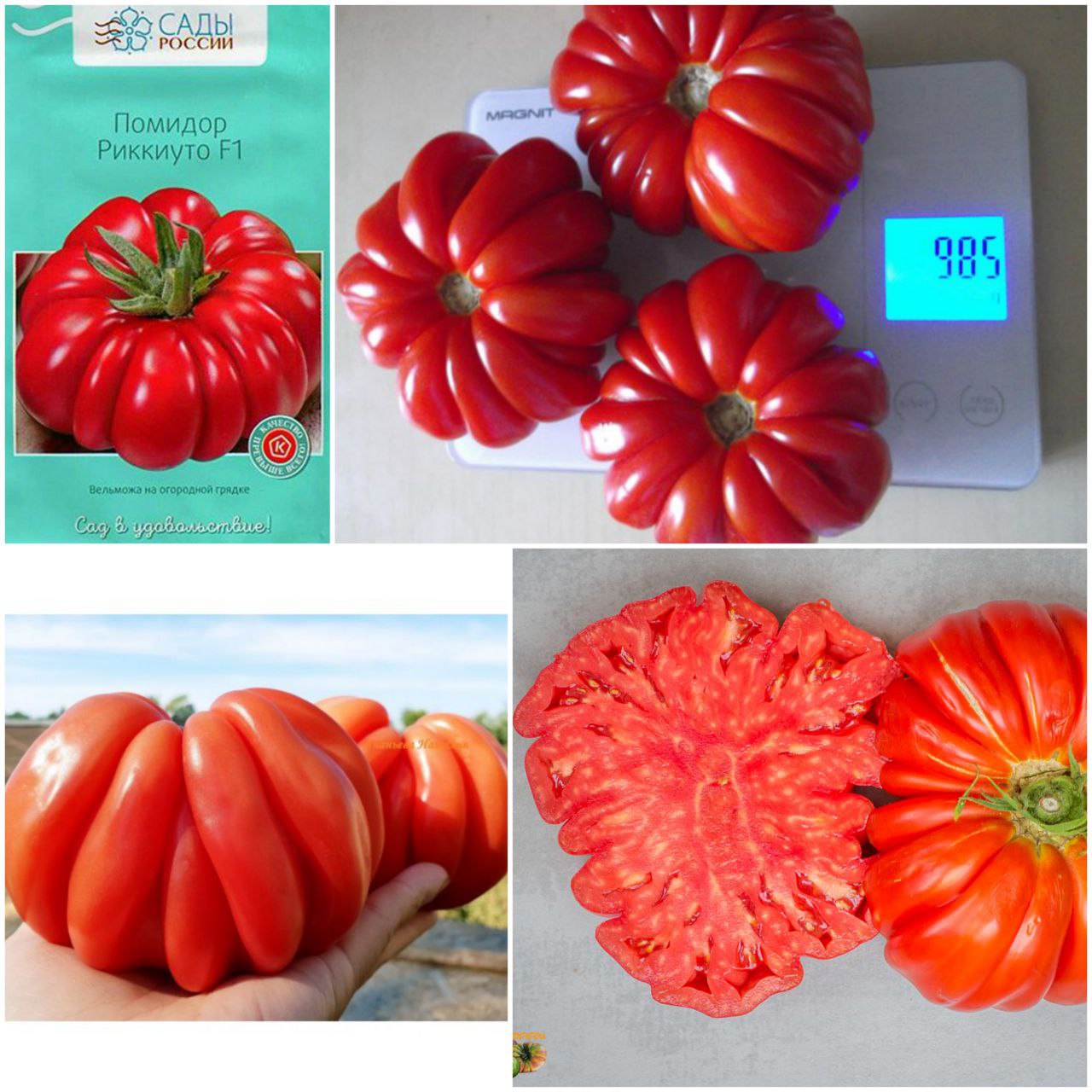 Томат "Риккиуто" F1 (5шт) недорого в Хабаровске