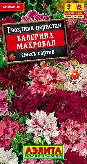 Гвоздика перистая "Балерина махровая" смесь недорого в Хабаровске