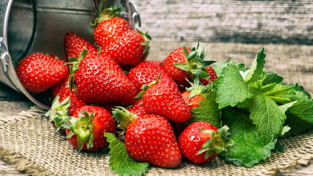 Рассада клубники 