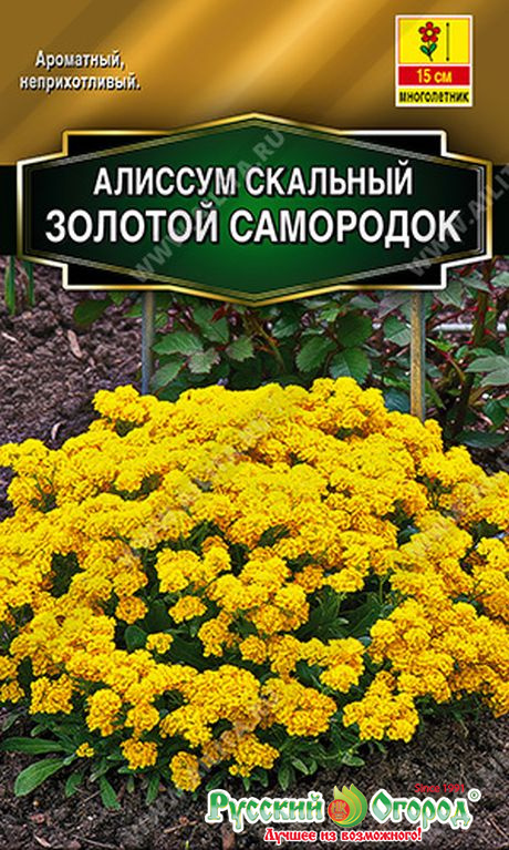 Алиссум "Золотой самородок", 0,1г недорого в Хабаровске