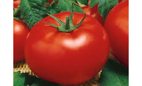 Томат "Саймон" F1 (3шт) недорого в Хабаровске