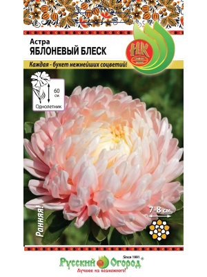 Астра "Яблоневый блеск", 50шт недорого в Хабаровске