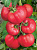 Томат "Малиновый медок" F1 (8шт) недорого в Хабаровске