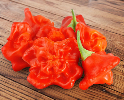 Перец острый "Звонок" (10шт) недорого в Хабаровске