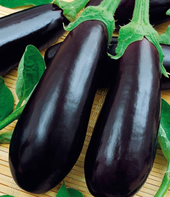 Баклажан "Навал" F1 (5шт) недорого в Хабаровске