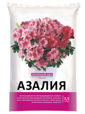 Азалия, грунт 2,5л
