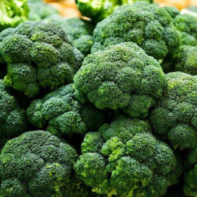 Капуста брокколи "Гном" (Седек) недорого в Хабаровске