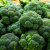 Капуста брокколи "Гном" (Седек) недорого в Хабаровске