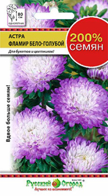 Астра "Фламир бело-голубой", недорого в Хабаровске