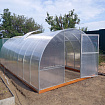 теплица Дачница усиленная 3х8м с форточкой.jpg