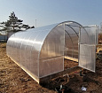 теплица Дачница усиленная 3х8м.jpg